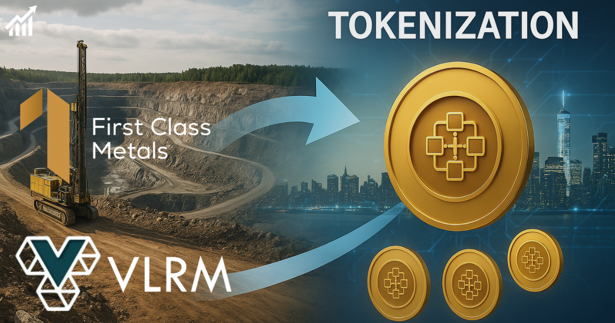 bitcoin treasury ponzi