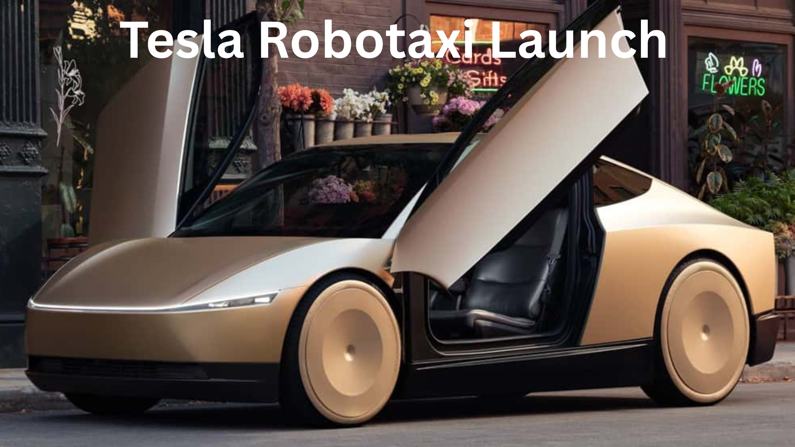 Tesla Investment Report